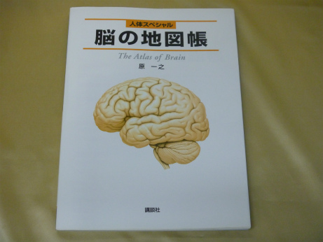 人体スペシャル 脳の地図帳 (地図帳・ナース)